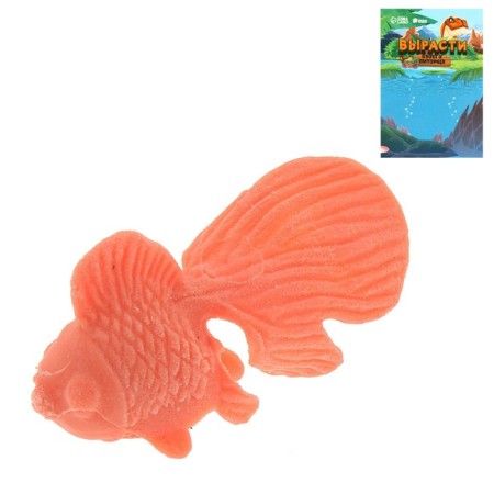 Children's experience “growing animal. Goldfish ", mix-12