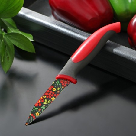 Kitchen knife with an anti -wagoning coating of the Dilan "Russian Disor", blade 8 cm