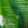 Bath Salt "Coniferous Baths" Pine, 1000 g