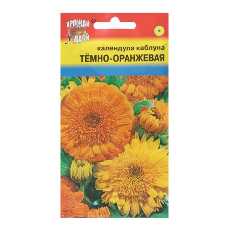 Flower seeds of the calendula "Kabluna", dark orange, 0.5g