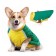 Jacket-Popon with a membrane, size M (DS 30, OG 46, Osh 34 cm, weight 5-8 kg), yellow-green