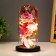 Nightlight "Bright Bouquet" LED from batteries 3haaa 11x11x22 cm Risalux