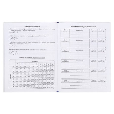 Diary of a solid cover 1-11 grade 48 sheets, "space cat", cardboard cover 7BC, matte lamination, selective UV-fluid, cheat sheet-14
