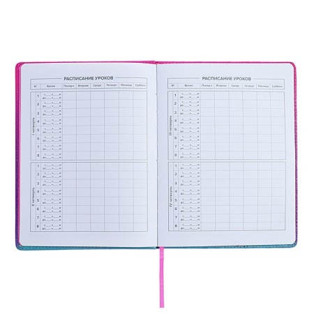 Universal Grade 1-11 Diary, 48 sheets "Chibi", solid cover of artificial leather, lies, universal cheat sheet, block 80 g/m2-5