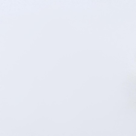 Siliconized paper, without printing, for baking, 0.38 x 5 m-2