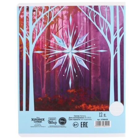 Notebook in a ruler of 12 sheets, 5 types of mix, cover coated cardboard, cold heart-4