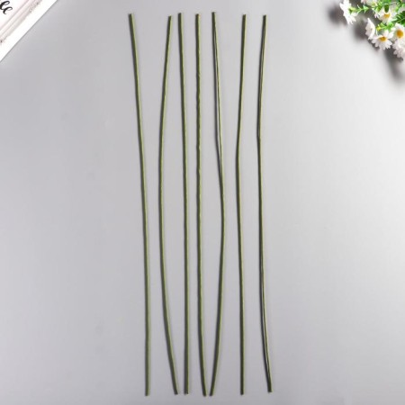 Wire for the manufacture of artificial colors "Green" 60 cm section 2 mm-1