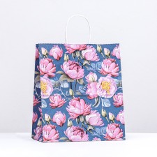 Paper package, craft 100 g/m2 25 x 22 x 12 cm 