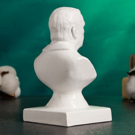 Bust "Zhirinovsky V.V." White, 15cm-3