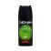 Deodorant-aerozole male Denim Musk wood, 150 ml