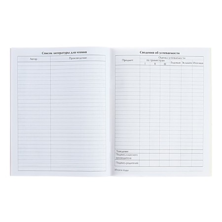 Universal diary for grades 1-11, "Anime Girl", soft cover, 40 sheets-10