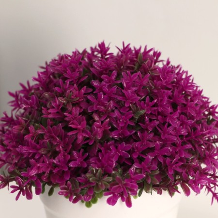Bonsai "Small flowers" h-12 cm h pot 7 cm, mix-1