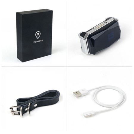 GPS AK32 animals tracker, with a collar, accuracy up to 10 m, battery 500 mAh, silver-6