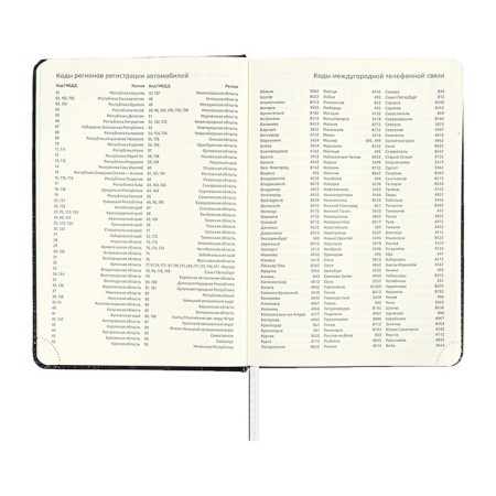 Dated diary 2024 A5 176 sheets, Devente.grande, firm artificial leather cover, stamping foil, lies, cream block 70 g/m2, black-10