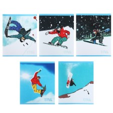 A notebook of 48 sheets in a cage 