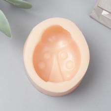 Mold Silicon 