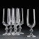 Set of glasses for champagne Sterna, 180 ml, 6 pcs