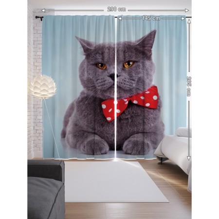 Photostes "Gray Topic Scottish Vislouhai", Saten, size 145x265 cm, 2 pcs-1