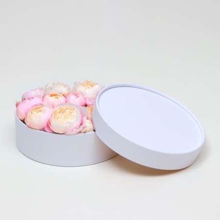 Box - tube 2 in 1, low with a dull cover "White", 21 x 7 - 18 x 6 cm-2