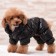 Kombinson "Shine", size S (DS 24 cm, OG 34, Osh 23 cm, up to 5 kg), black