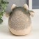 Growing gift Eco -Zhizhivchik "animal" mix