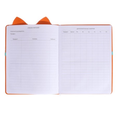 Universal diary for grade 1-11 Fox, hard cover, artificial leather, foam rubber, lies, 80 g/m2-5