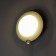 Bra "Planet" LED 3000K-6000K Green 23.5x23.5x12cm
