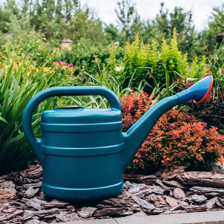Watering can, 5 l, with a dispatcher, nose d = 35 mm, color mix-3