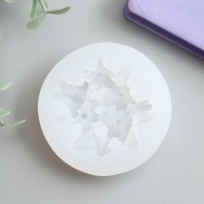 Mold Silicon 