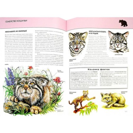Full encyclopedia "Animals". Schoolboy Yu. K.-3