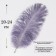 Feather for decor, size: 24 cm, gray color