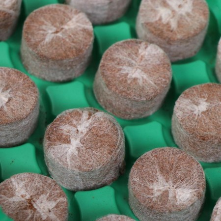 Mini-Pirate for seedlings: coconut tablet D = 3 cm (24 pcs.), Greenhouse 25 × 17.5 cm, jiffy-5