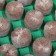 Mini-Pirate for seedlings: coconut tablet D = 3 cm (24 pcs.), Greenhouse 25 × 17.5 cm, jiffy