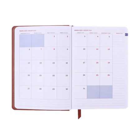 Dated diary of 2025, A6+, 176 sheets "Lyon", solid cover, pancake embossing, with liesa, block 80 g/m2, brown-9
