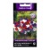 Flowers of Petunia Ampel F1 Iza Vave Matilda, 5pcs
