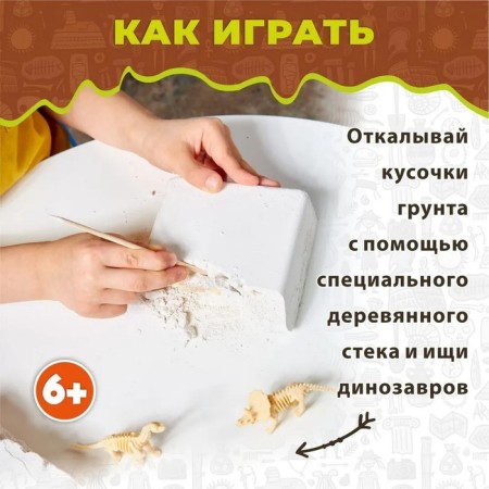 Excavations "Set of young paleontologist", 3 dinosaurus-3