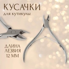 Manicure nippers for cuticle, double spring, 10 cm, blade length - 12 mm, on the blist, silver color