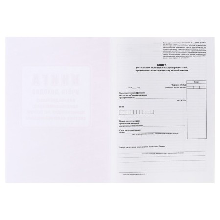 Book of accounting of IP income using the patent tax system, A4 24l-2