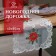 Ethel Poinsettia path with embroidery, 40 x 85 ± 5 cm, p/e
