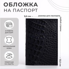 Cover for passport, dark blue color