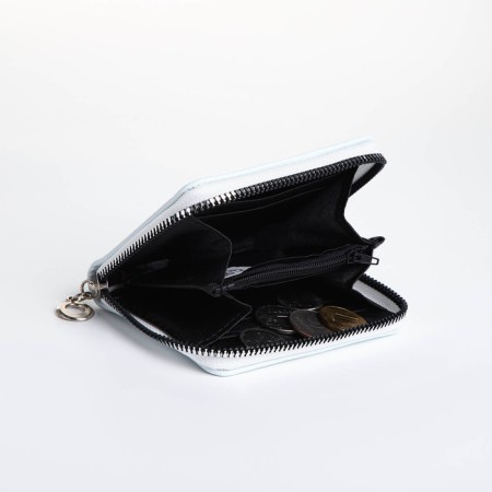 Lightning wallet, card for cards, for coins, color light blue-4