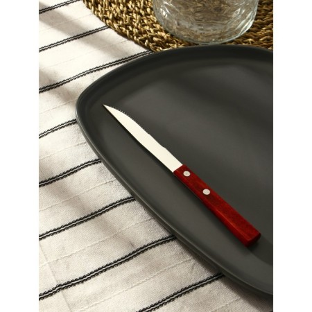 Stainless steel knife "eco-stic", length 20 cm, wooden handle-1