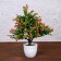 Bonsai in the pot "Small flowers" 9x25 cm, mix