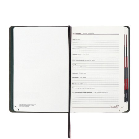 Dated 2025 diary, Escalada, A4, 120 sheets, soft cover, artificial leather, foil embossing, liesse, block 70 g/m2, black-5