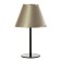 HELIVER OLIVER 1x15W E27 Black/Shampan 25x25x40cm Risalux