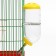 Drill for rodents, 500 ml, 20.5 x 5 cm, yellow