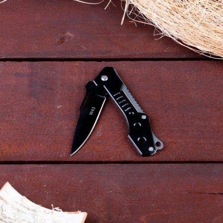 Folding knife "steel" 17cm, blade 75mm/1.2mm-1
