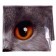 Foil ball 24 "Cat - Happy Birthday", with a substrate