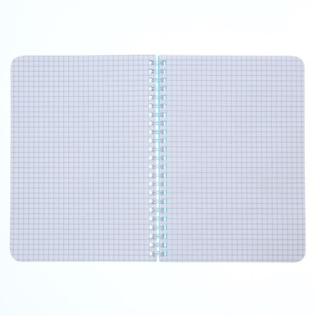 Notebook A5-80 sheets in a cage, on a crest, a plastic cover, a removable ruler made of transparent plastic, blue-1