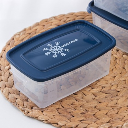 A set of rectangular containers for freezing Morozko products, 1 l, 3 pcs, color mix-1